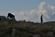 38 Dal Sent. 101 zoom sulla Casera Cavizzola con mulo e mandriano a passeggio...